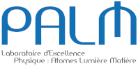 Logo PALM